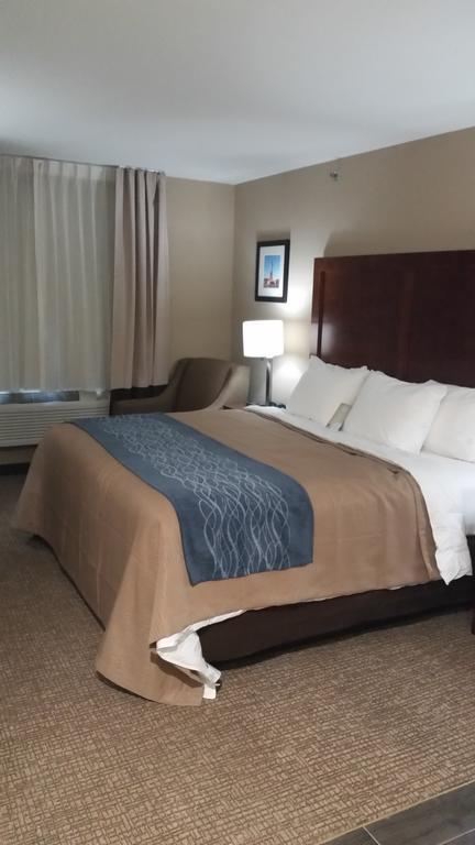 Comfort Inn Jamaica Downtown New York Ruang foto