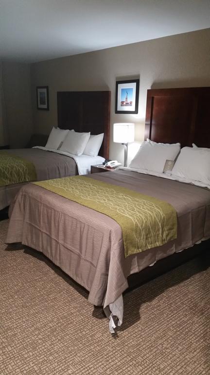 Comfort Inn Jamaica Downtown New York Ruang foto